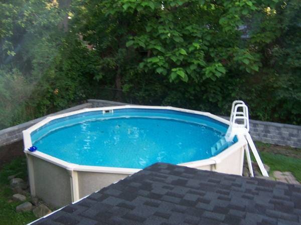 Backyard Pool - 14 Roosevelt Ave