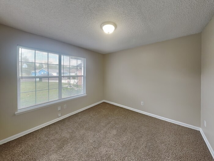 Building Photo - 315 Springfield Ct