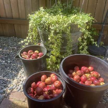 Building Photo - 9443 21st Ave SW