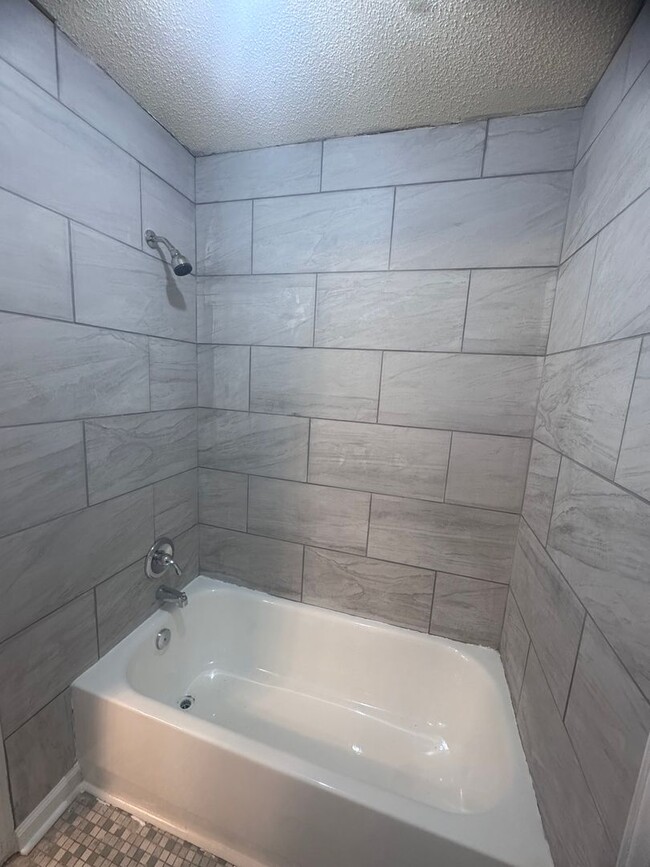 Building Photo - Newly Renovated Southlawn Home