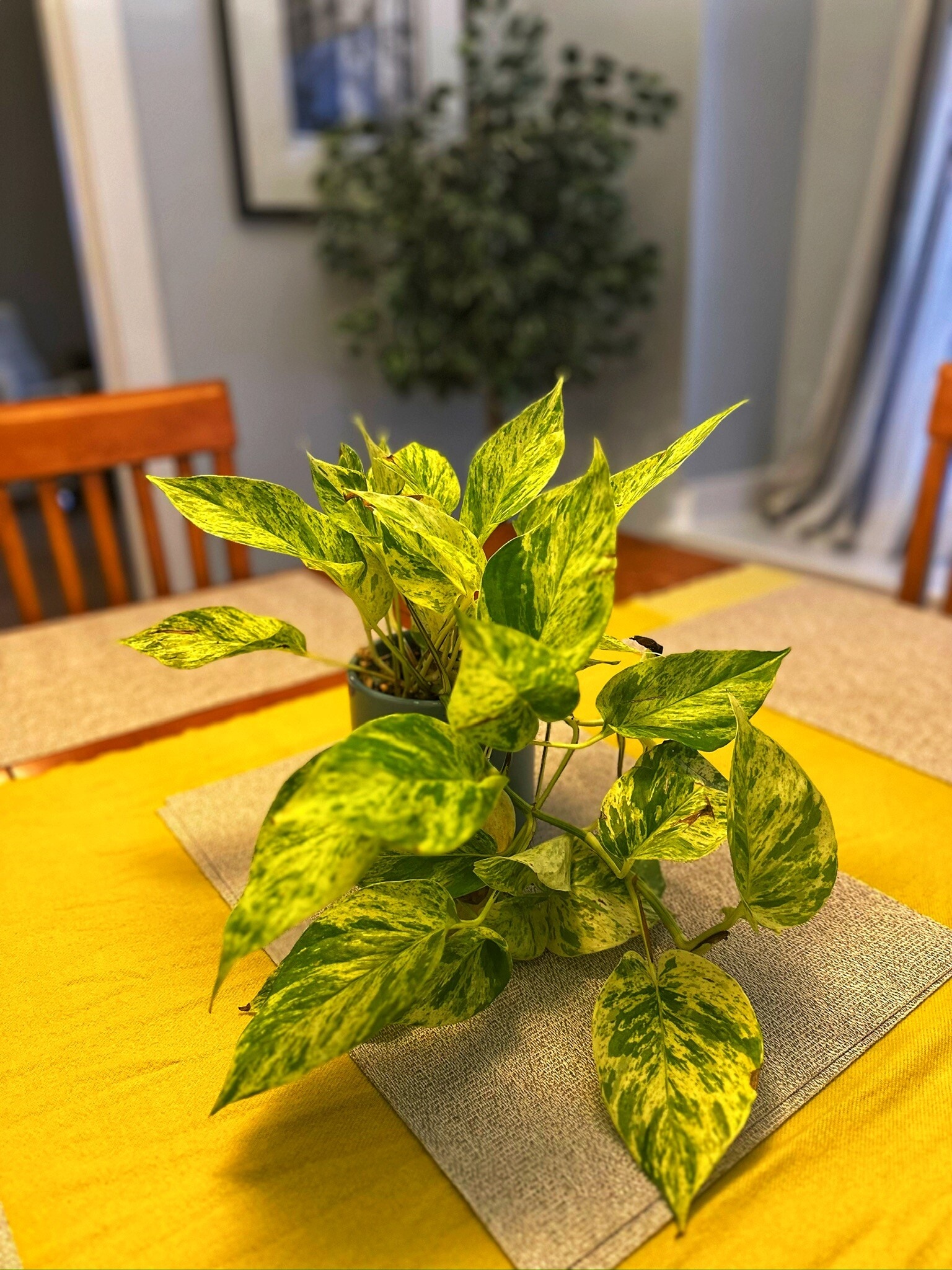 Building Photo - 807 W Vine St