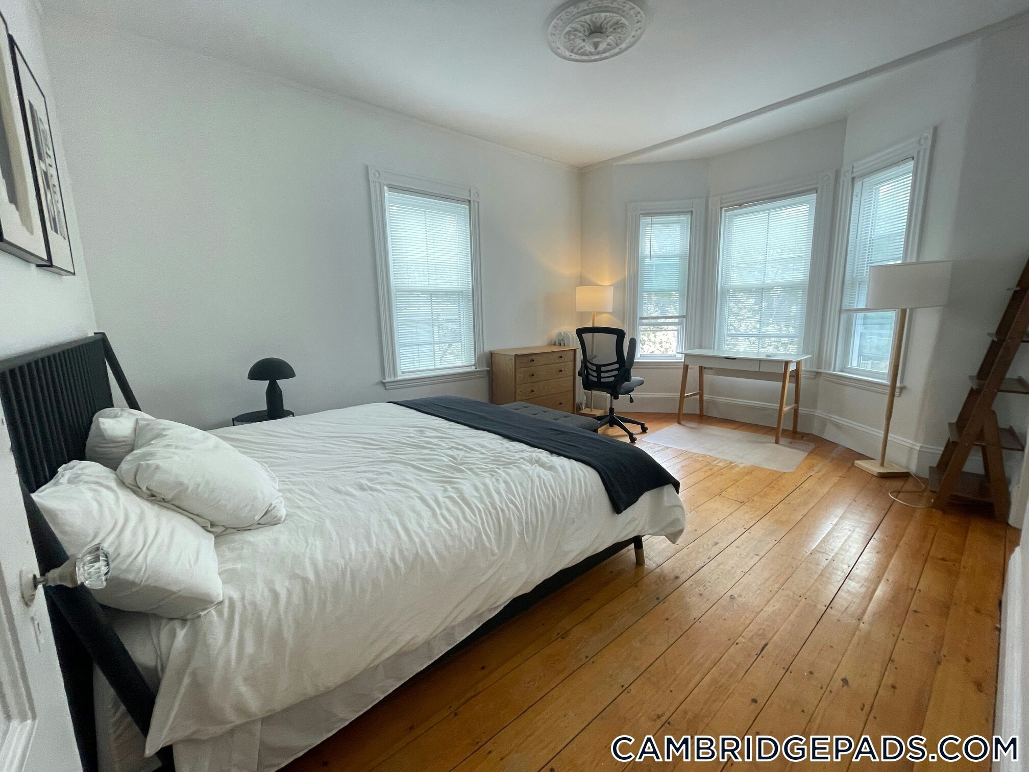 Building Photo - 32 Healey St