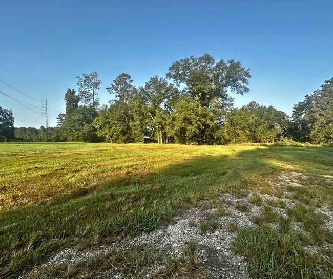 Building Photo - 11161 Soape Rd