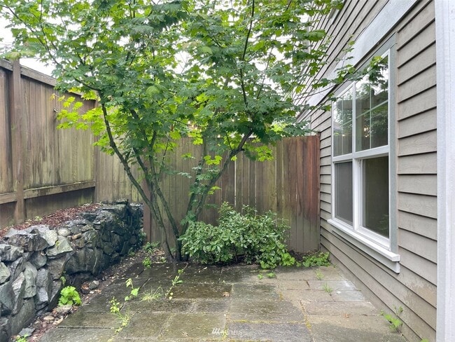 Backyard - 9101 23rd Ave NE