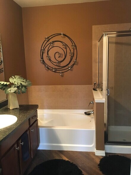 Master Bath - 10176 Park Meadows Dr