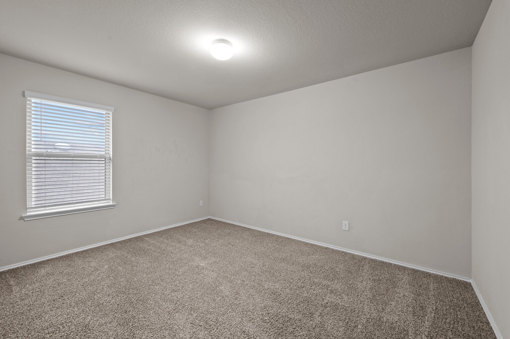 Building Photo - 20811 Olive Leaf St