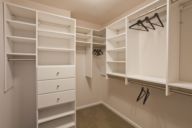 Ample closet space with adjustable shelving and custom storage - Trinity Row