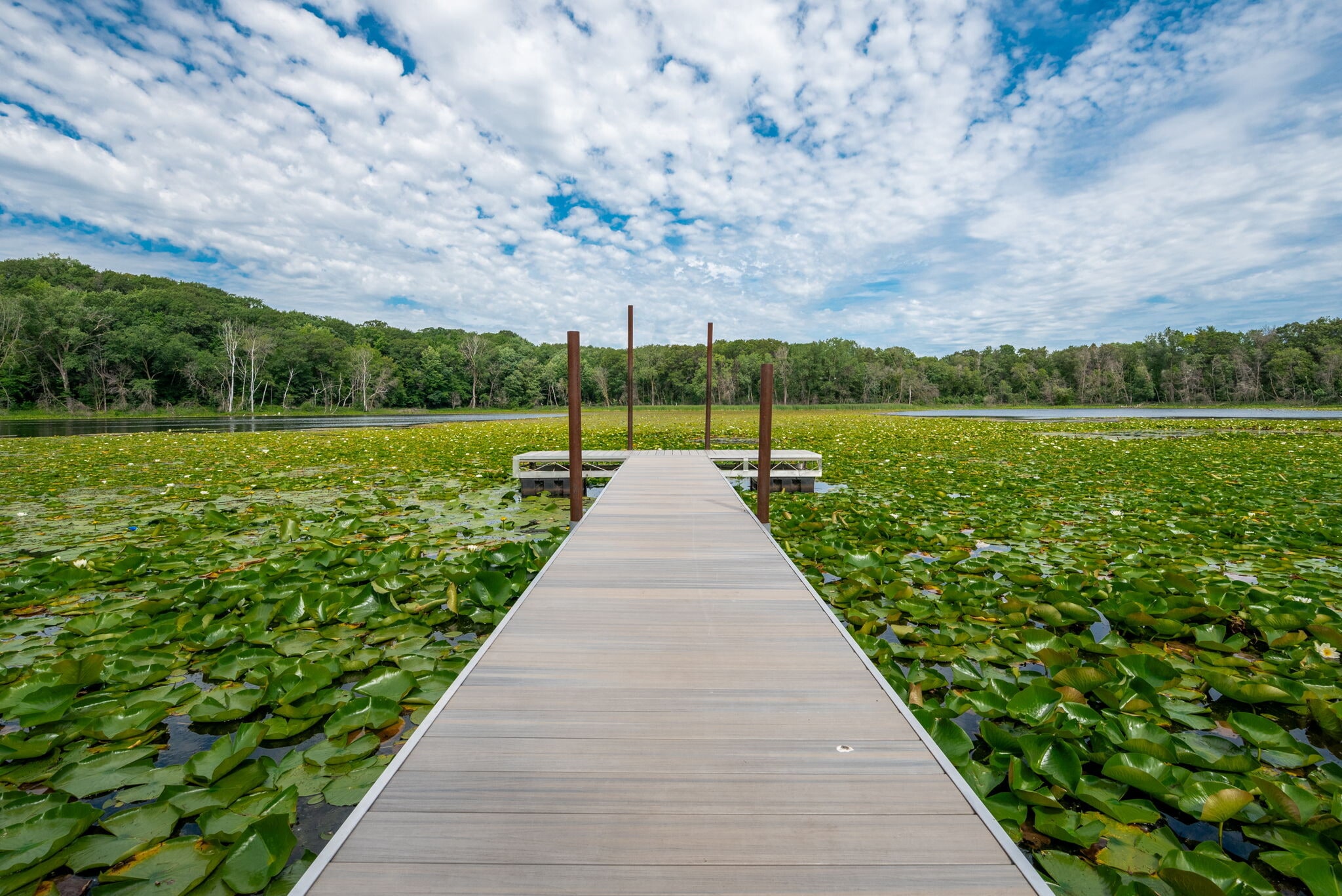 Building Photo - 6155 Chasewood Pky
