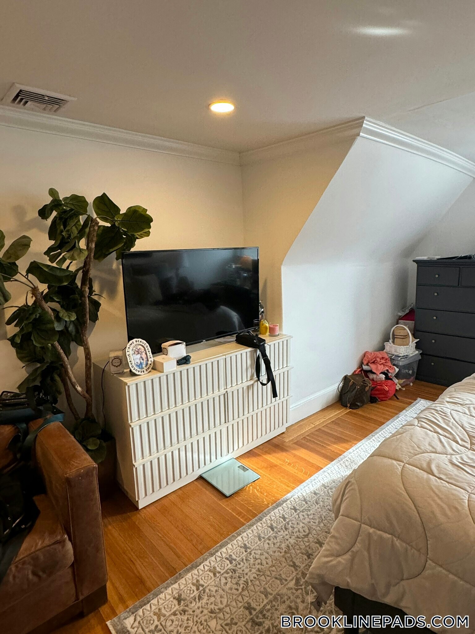 Building Photo - 1798 Beacon St