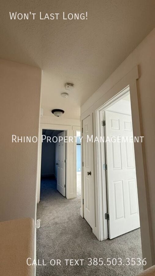Building Photo - 4917 Stormy Meadow Dr
