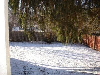 Building Photo - 974 Madison Ave