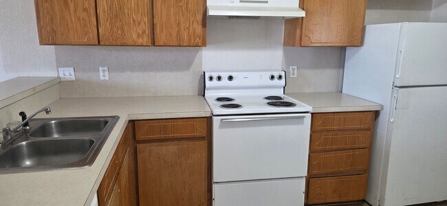 Building Photo - 1101 SHANA RAE Cir