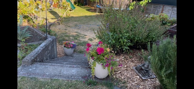 backyard - 9220 11th Ave SW