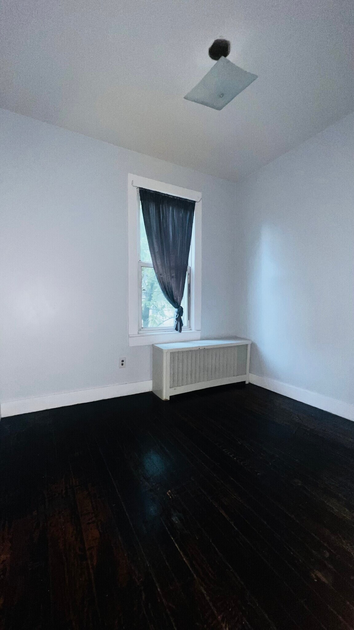 BEDROOM #3 - 187 Clerk St
