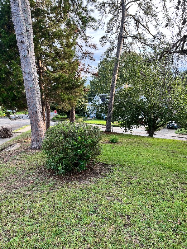 Building Photo - 830 North Ave