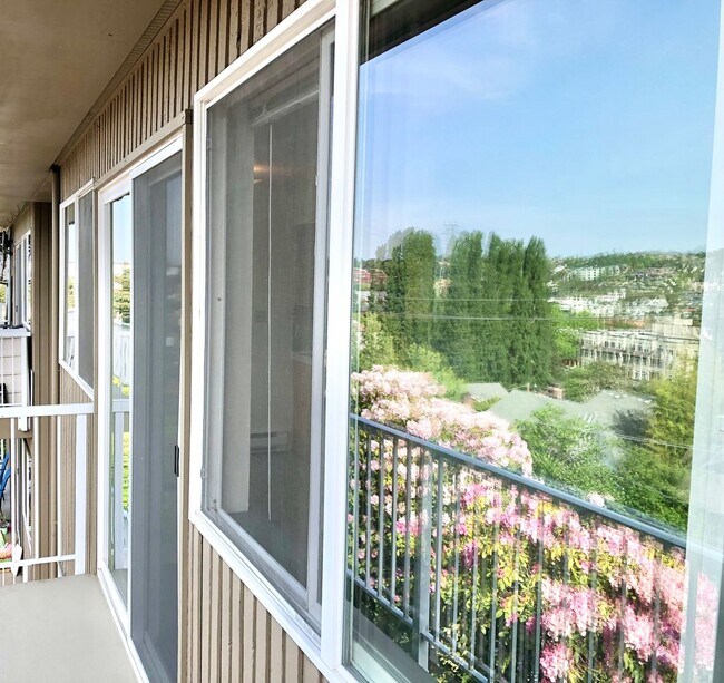 Interior Photo - Queen Anne Terrace