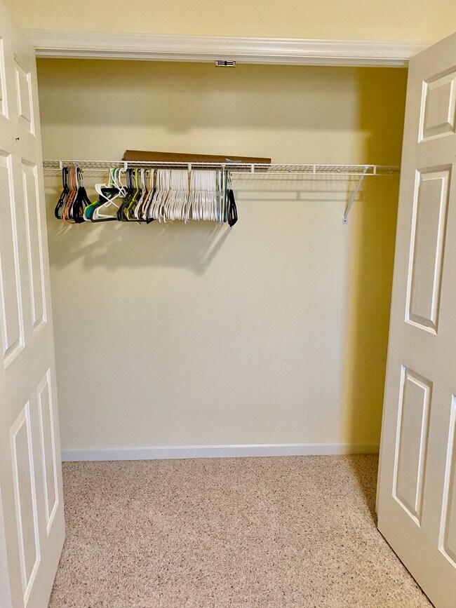 Closet - 137 Skipwyth Cir