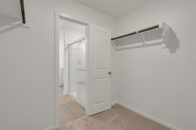 Building Photo - 3710 Oleander Pl