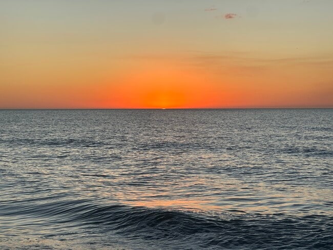 Building Photo - 1655 S Highland Ave