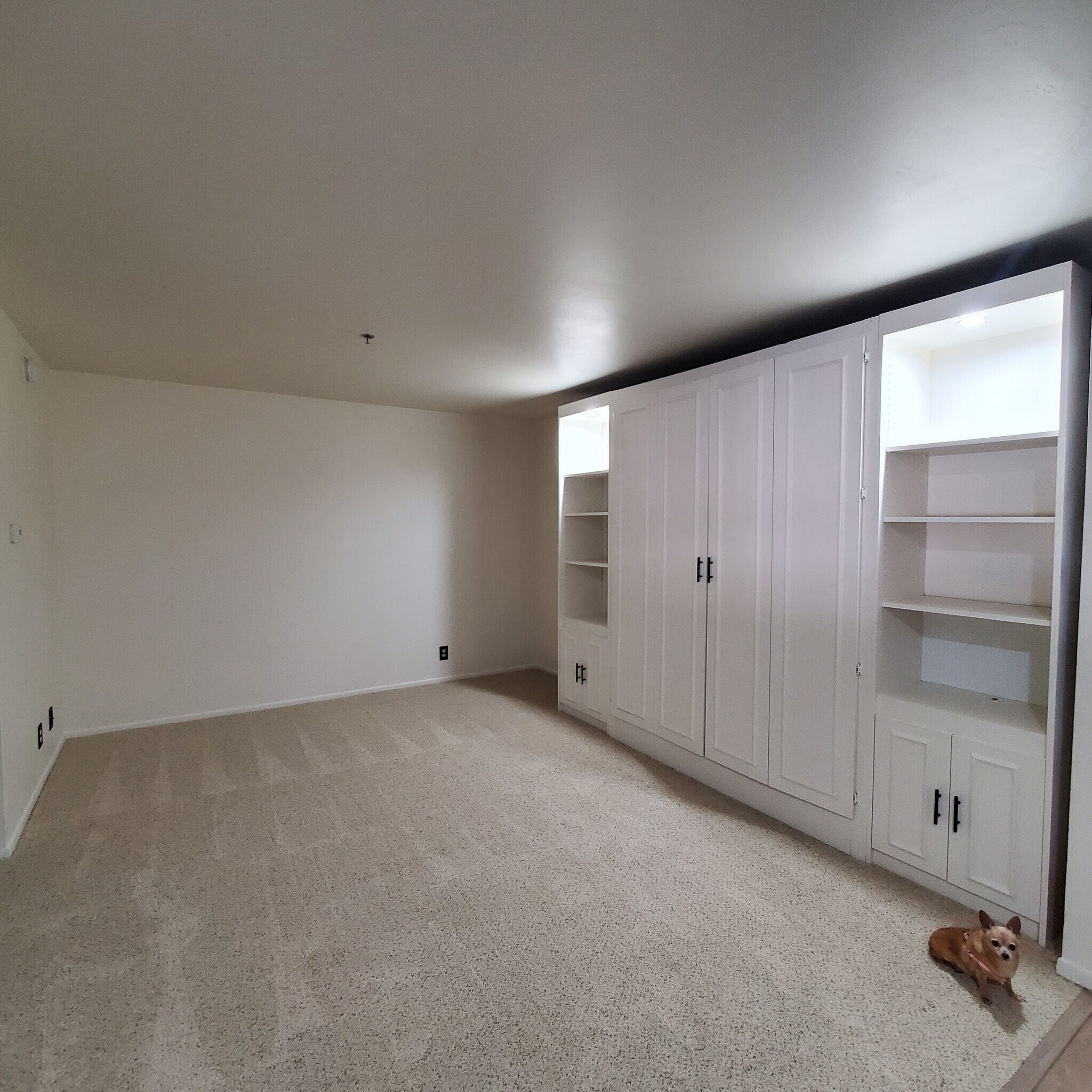 Murphy Bed and Shelving - 351 N Ford Ave