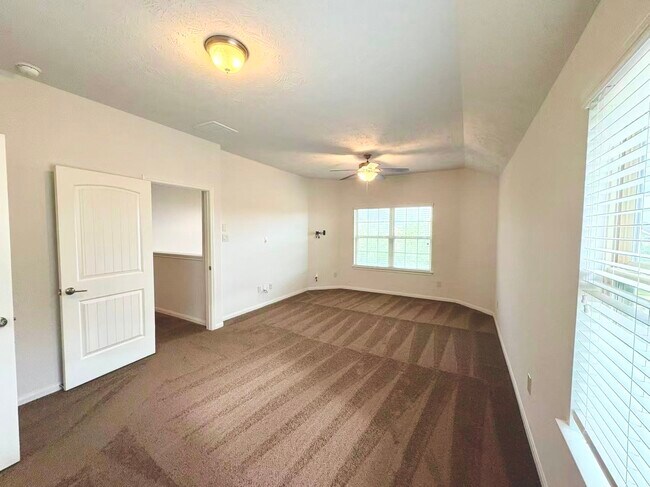 Building Photo - 3722 Pantano Ct