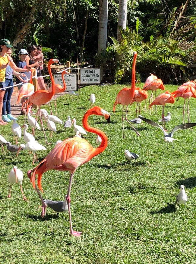 Building Photo - 3605 Iroquois Ave