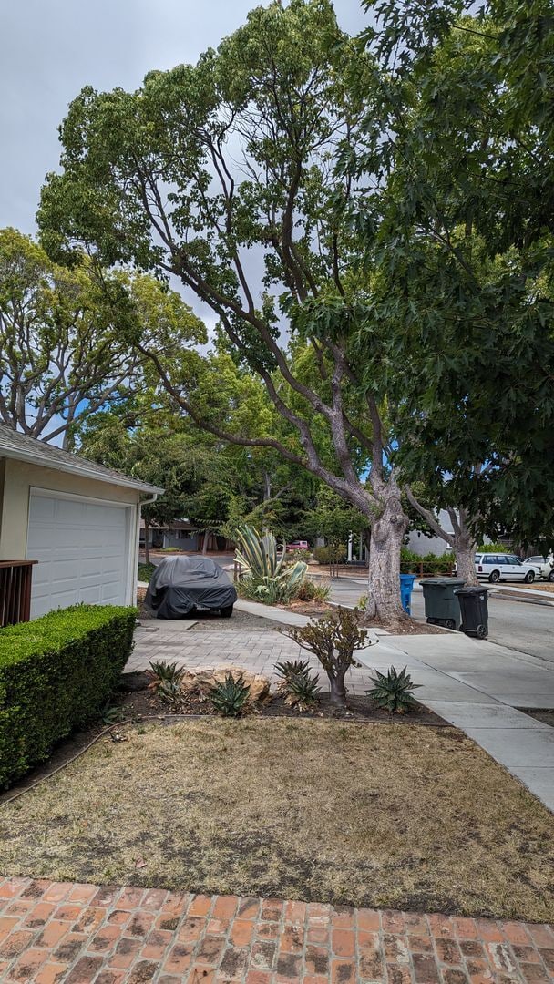 Building Photo - Inviting 3-Bed/2-Bath Home - Menlo Park