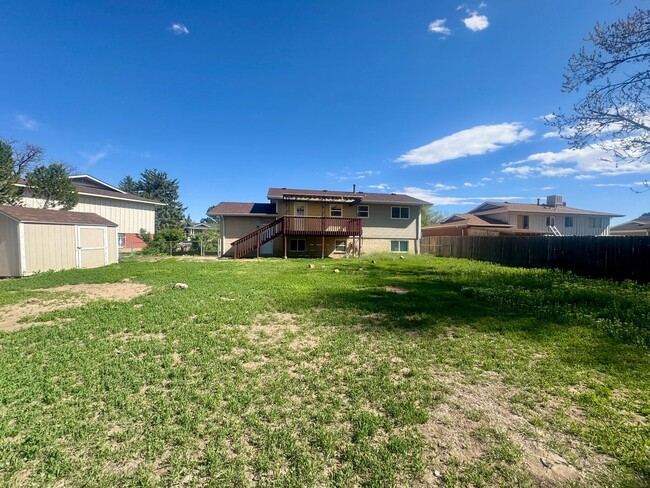 Building Photo - 4 Bedroom Split-Level in Widefield