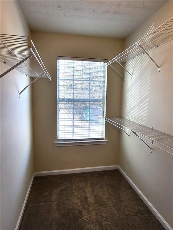 Building Photo - 2954 Vining Ridge Ln