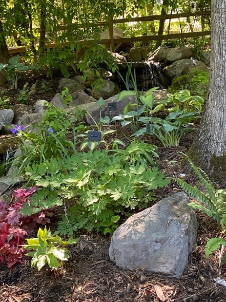 Woodland Garden - 123 Nob Hill Rd