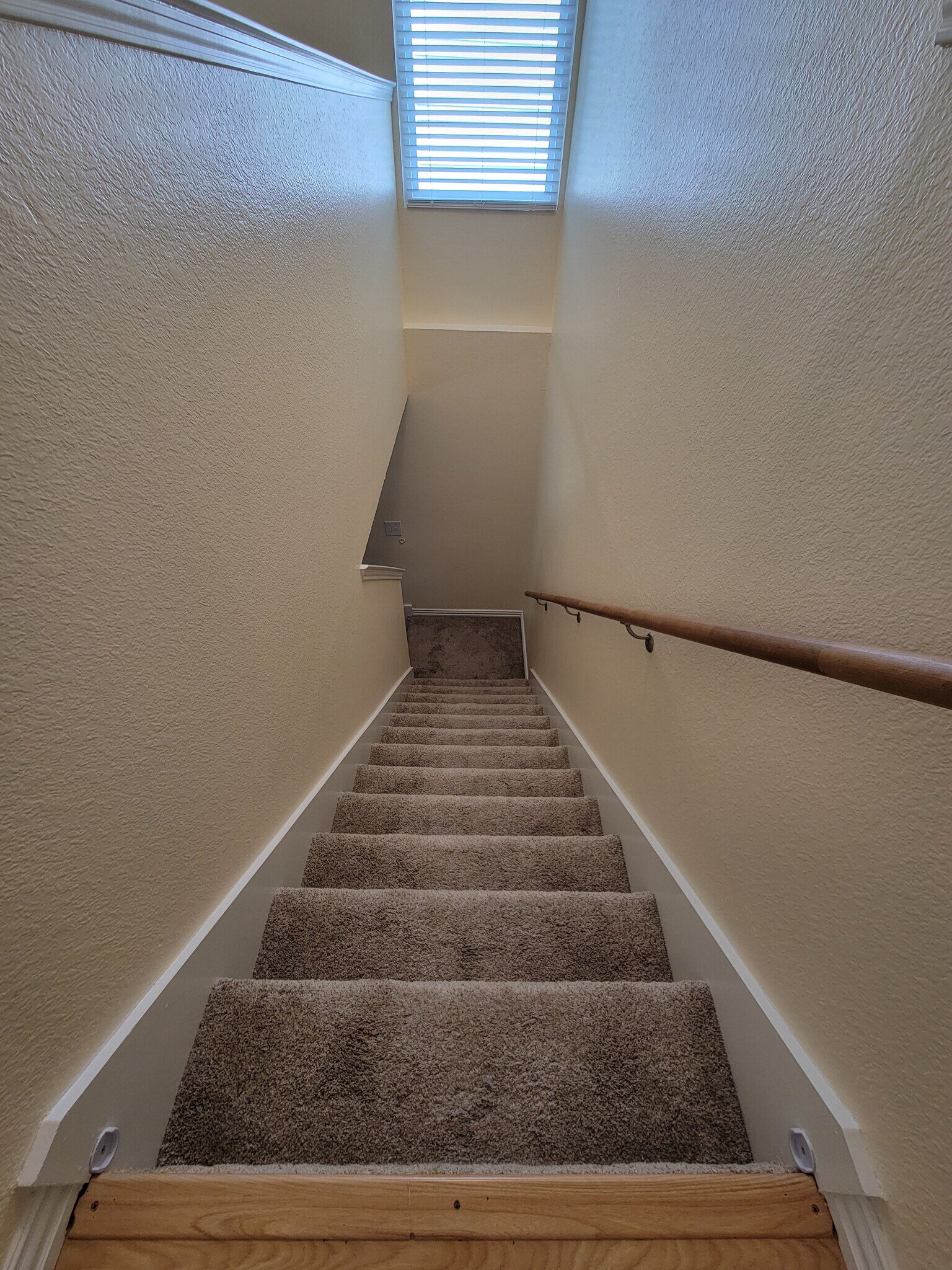 Building Photo - 3108 Westview Dr