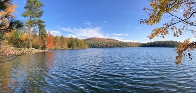 Building Photo - Charming 3BR House on Augur Lake 30 acre private property