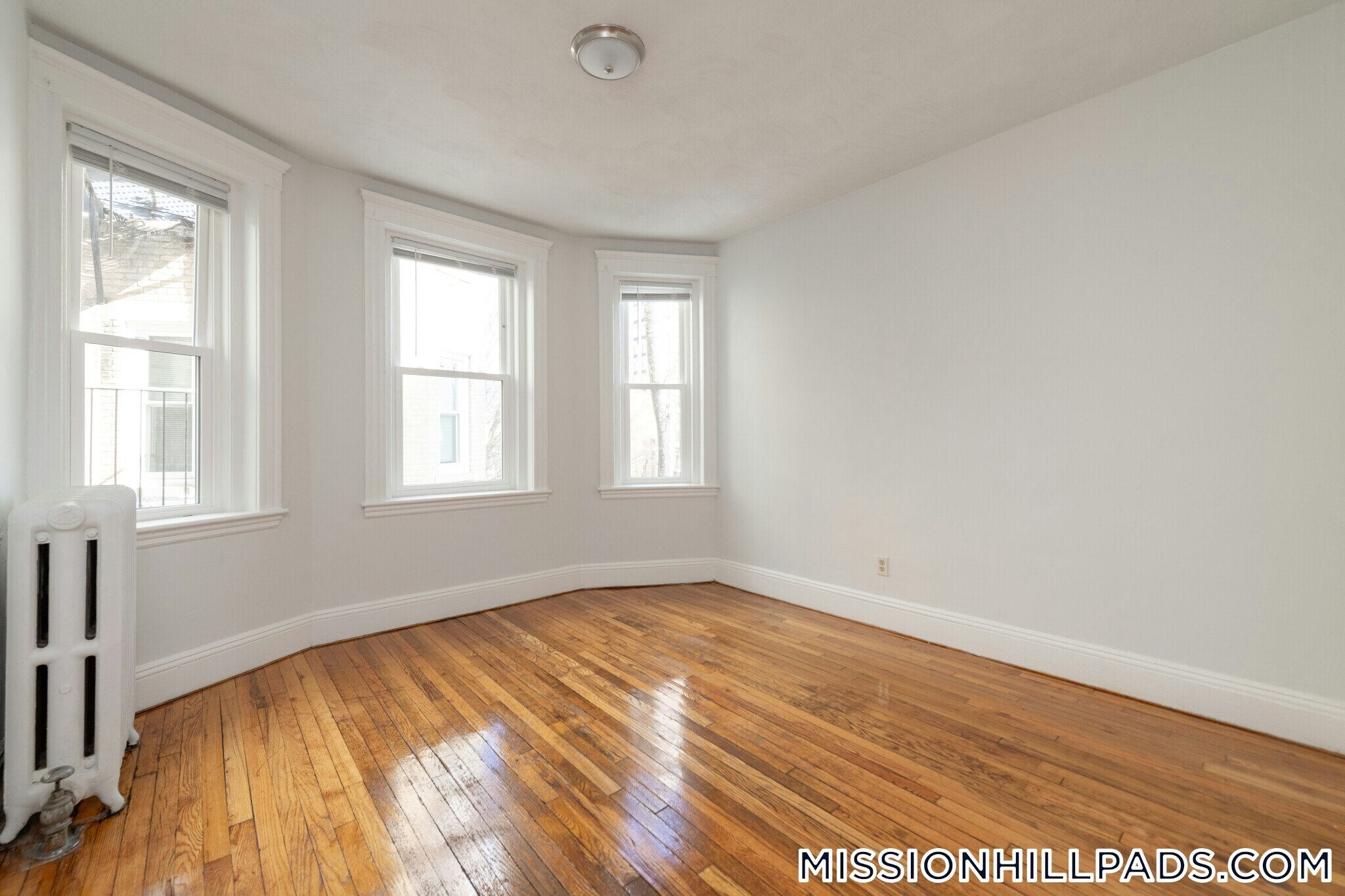 Building Photo - 49 Worthington St