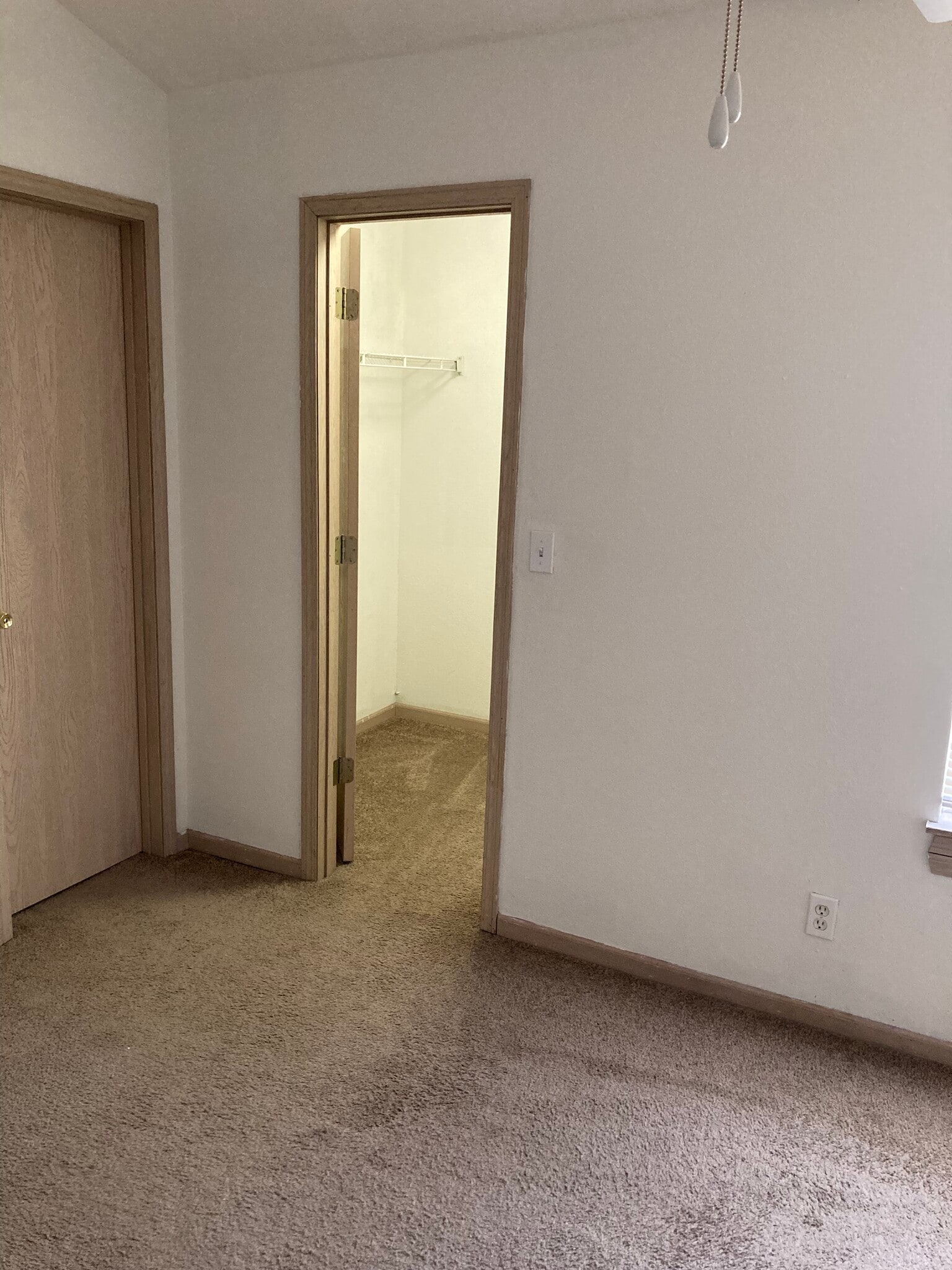 Building Photo - 1309 Toulouse St