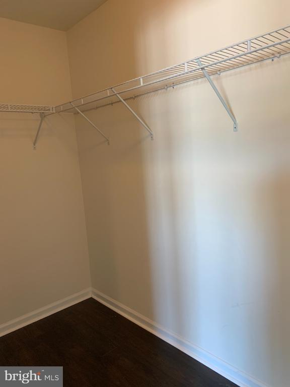Building Photo - 126 Biscane Ct