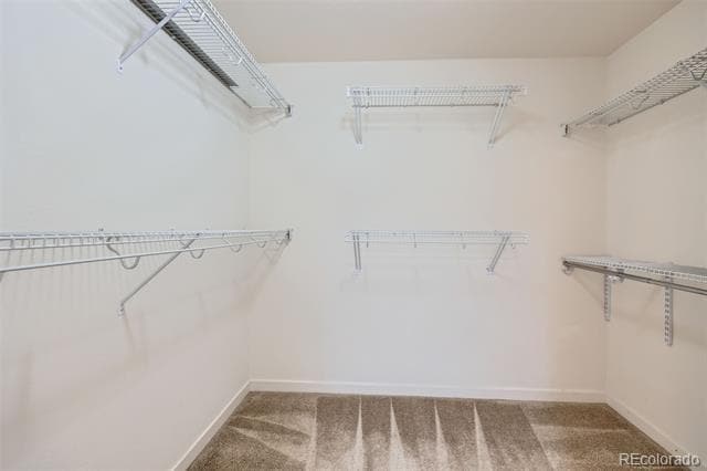 Building Photo - 14000 Touchstone Point