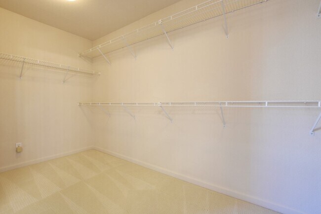 Building Photo - Beautiful and Spacious Evergreen 4 Bedroom 2.5 Bath Home with Pool!