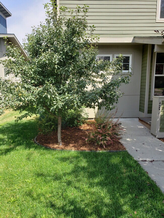 Building Photo - 4251COV
