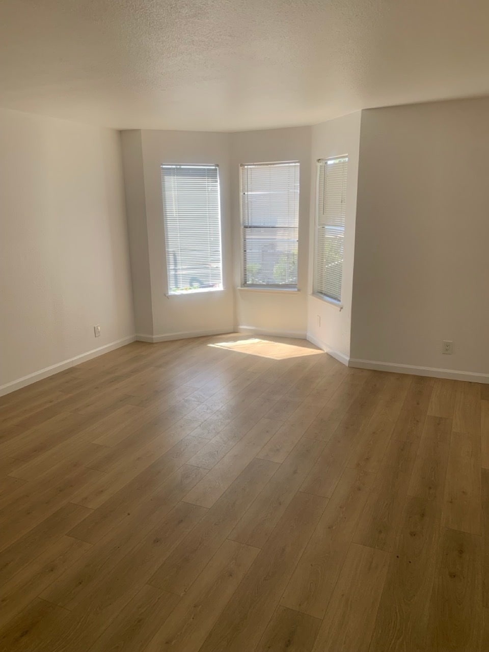 Living Room - Windows - 608 Virginia St