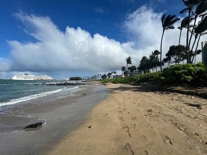 Building Photo - 111 Kahului Beach Rd