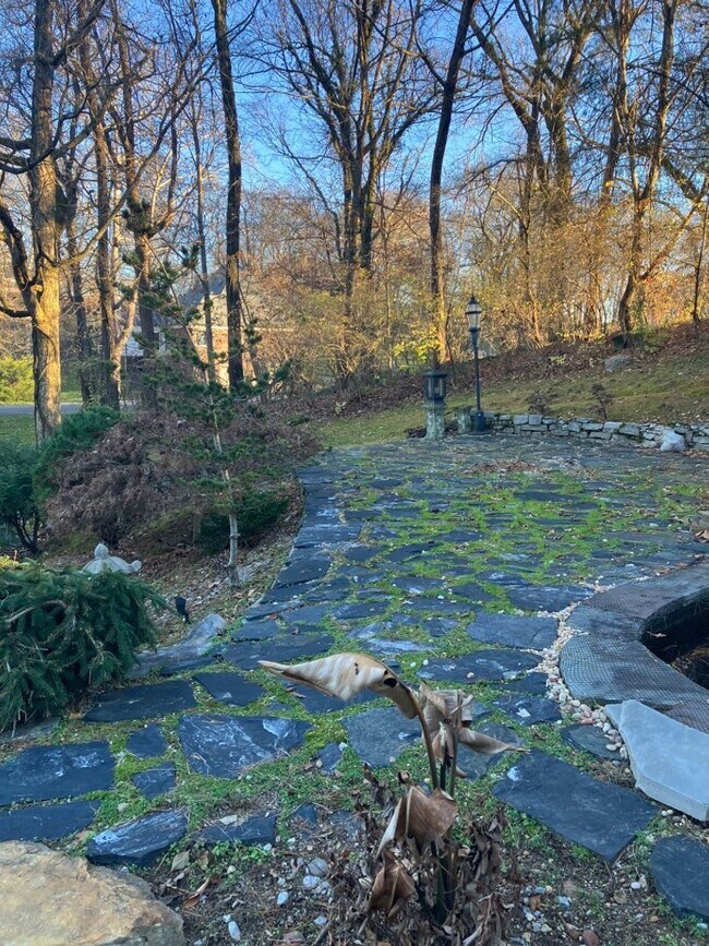 Building Photo - Lower Level Apartment in Beautiful Brentwo...