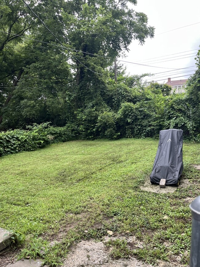 Building Photo - 4125 Olive St