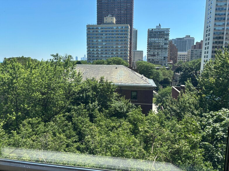 Building Photo - 3100 N Lake Shore Dr