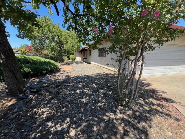 Building Photo - 1096 Corino Real Ct