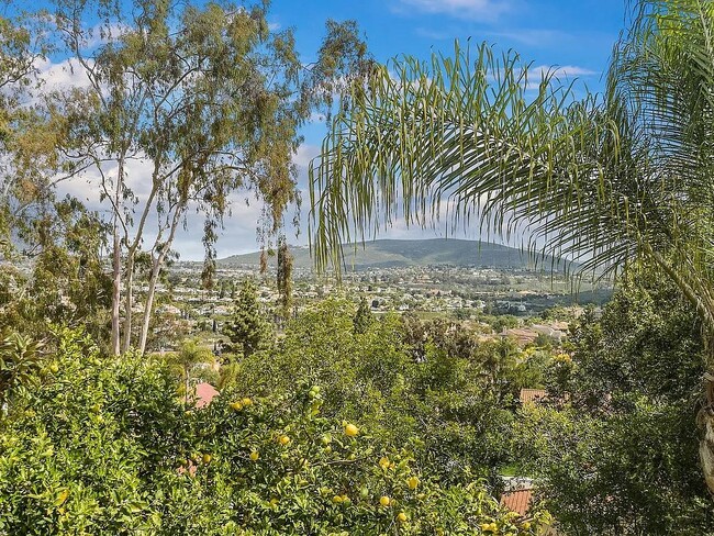 Building Photo - 1920 Avenida Joaquin