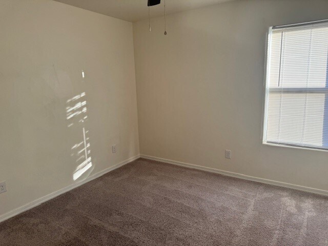 Building Photo - 1624 Paige Dr