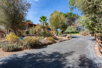 Building Photo - Spanish Style Oasis!