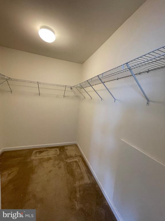 Building Photo - 103 Alexandreas Ct