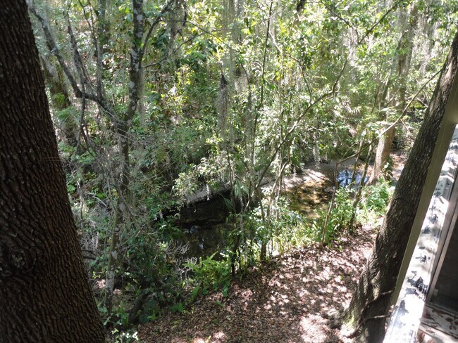 Building Photo - 1 Bedroom/1 Bathroom in Tumblin Creek