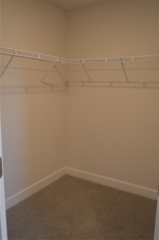 Building Photo - 2447 Rio Grande Valley Ct